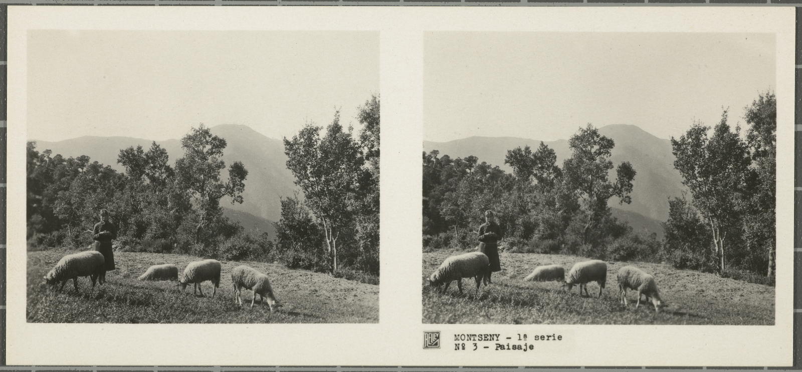 Desconegut, Montseny (Barcelona-Gerona)