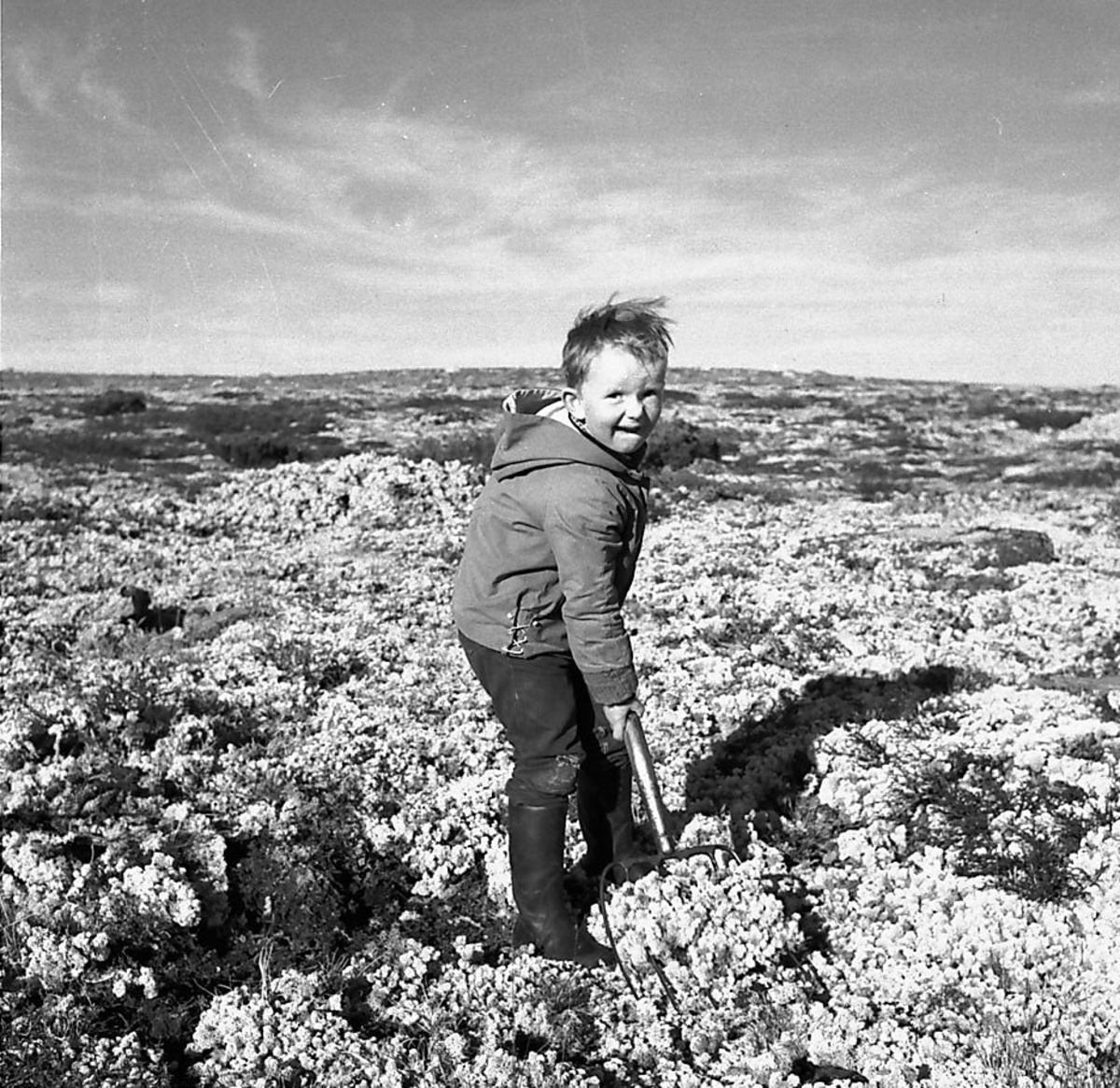 Per Magne Grue, Måssåtaking i Øversjødalen.