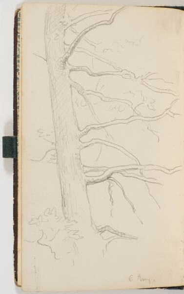 P.C. Skovgaard, En træstamme med grene