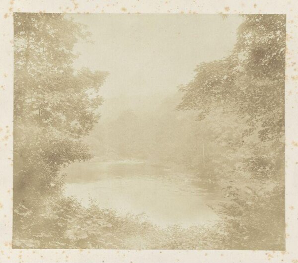 Fenton, Roger, Wood and Water, Bolton Abbey