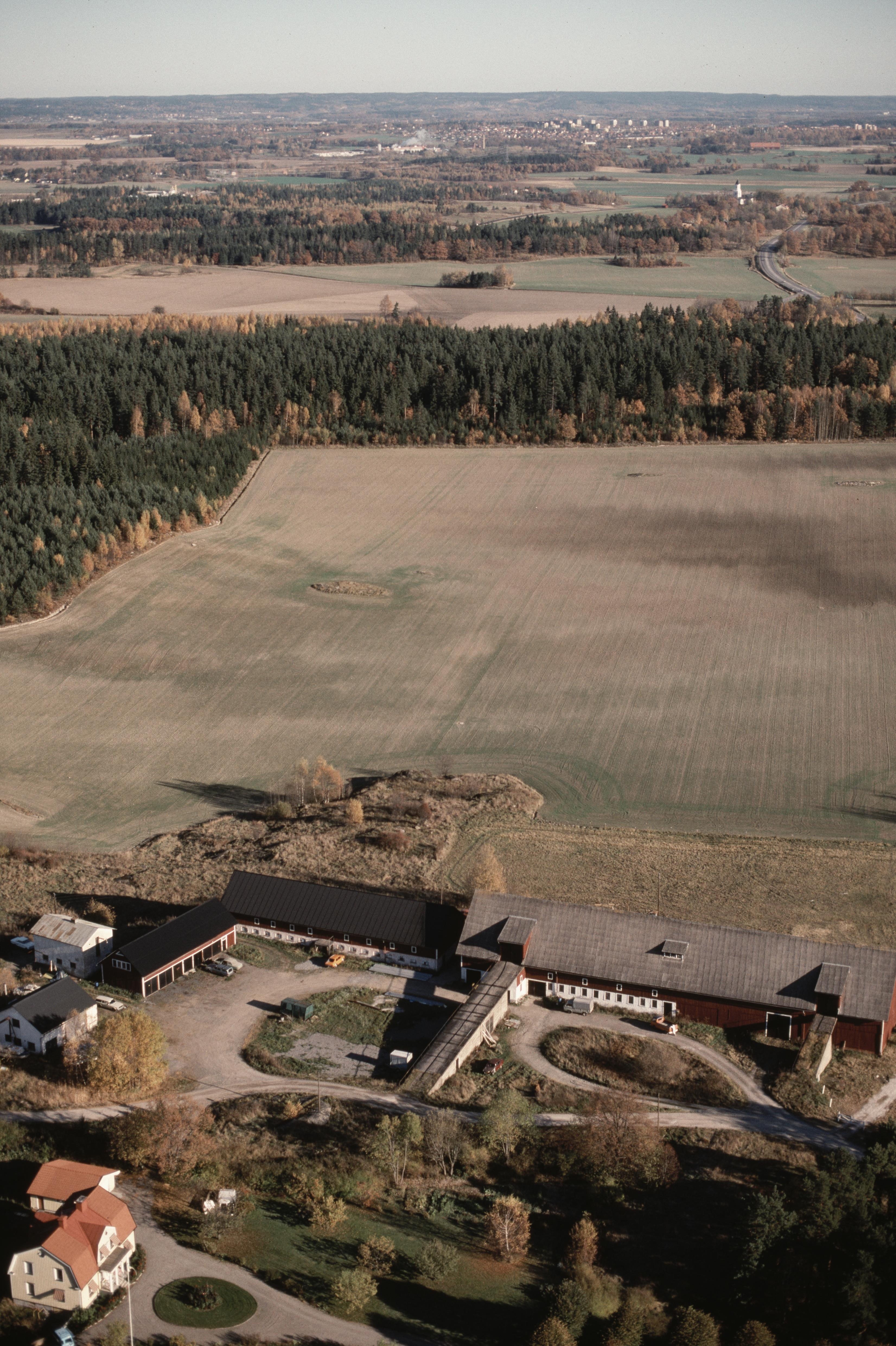 Jan Norrman, Borg 289:1