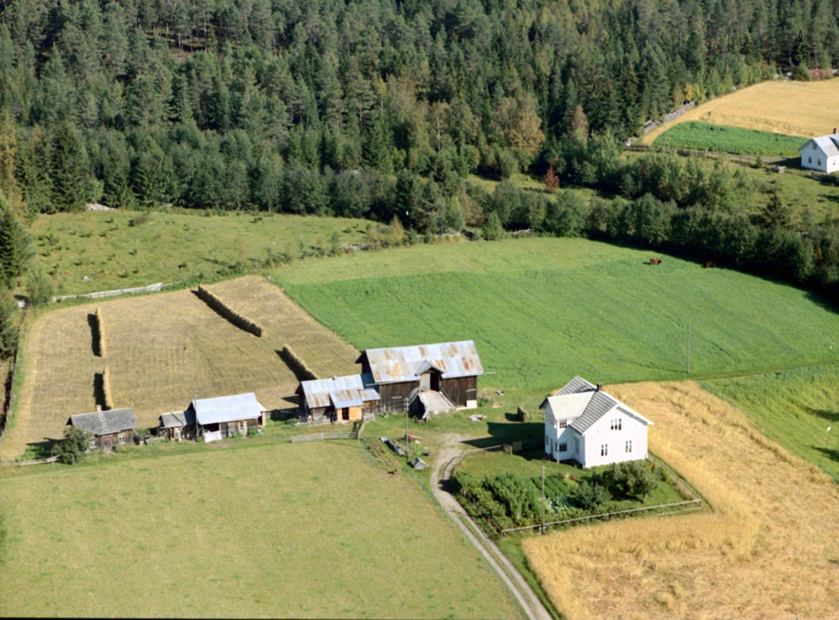 Widerøes Flyveselskap A/S, Flyfoto, Nyjordsengen, Løten.