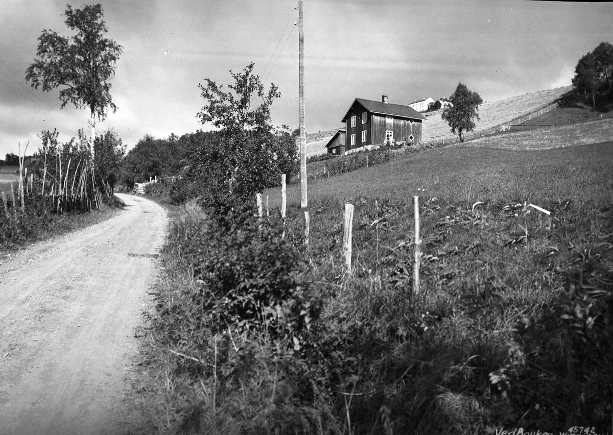 Anders Beer Wilse, Prot: Gausdalen storgård ved Bauker