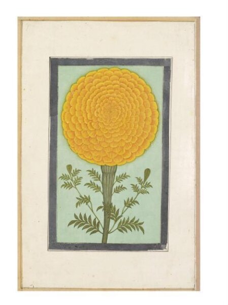 Unknown, Painting