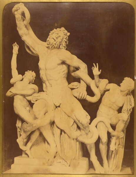 Unknown, [Laocoön and His Sons]