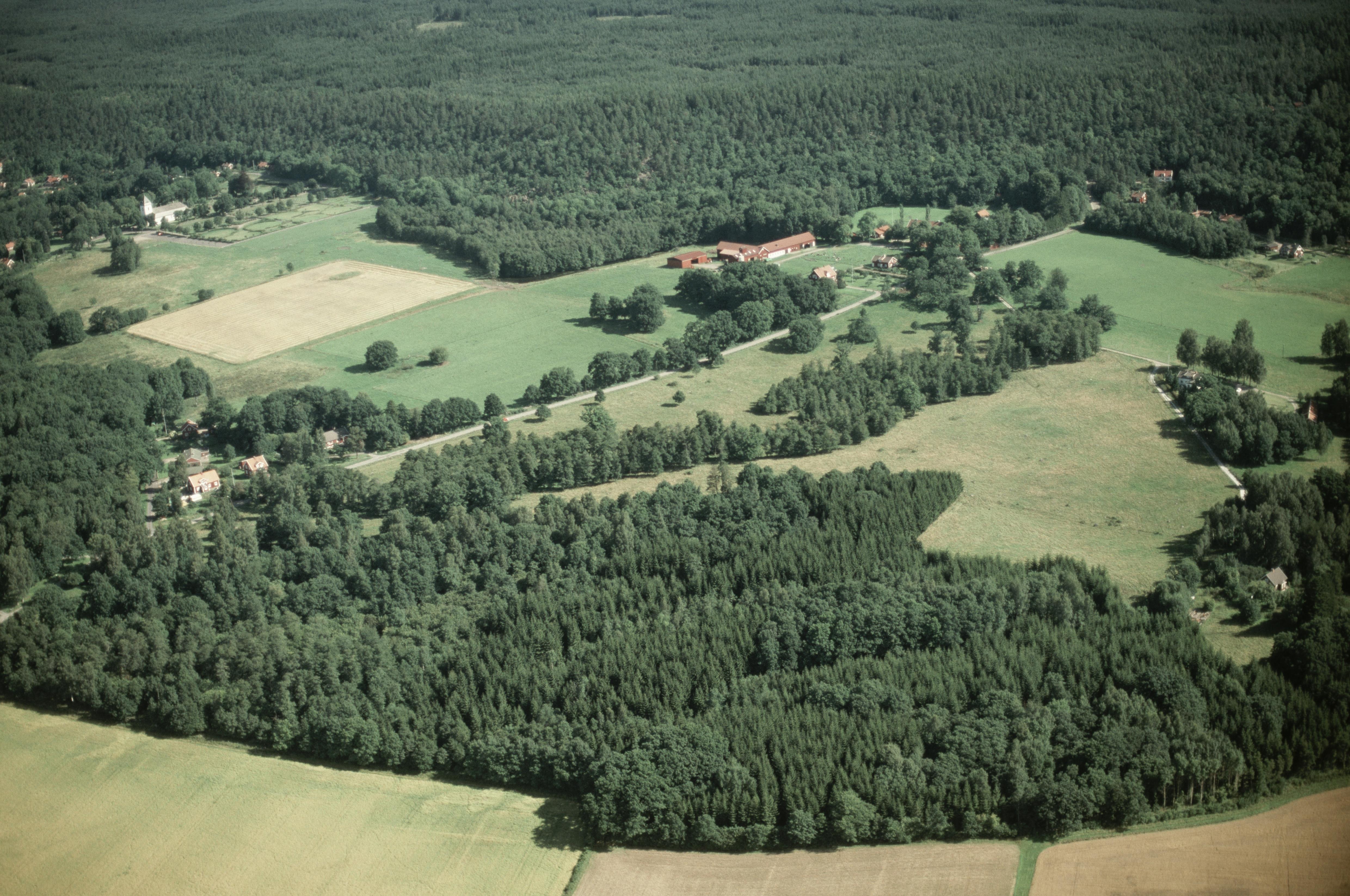 Jan Norrman, Västra Tunhem