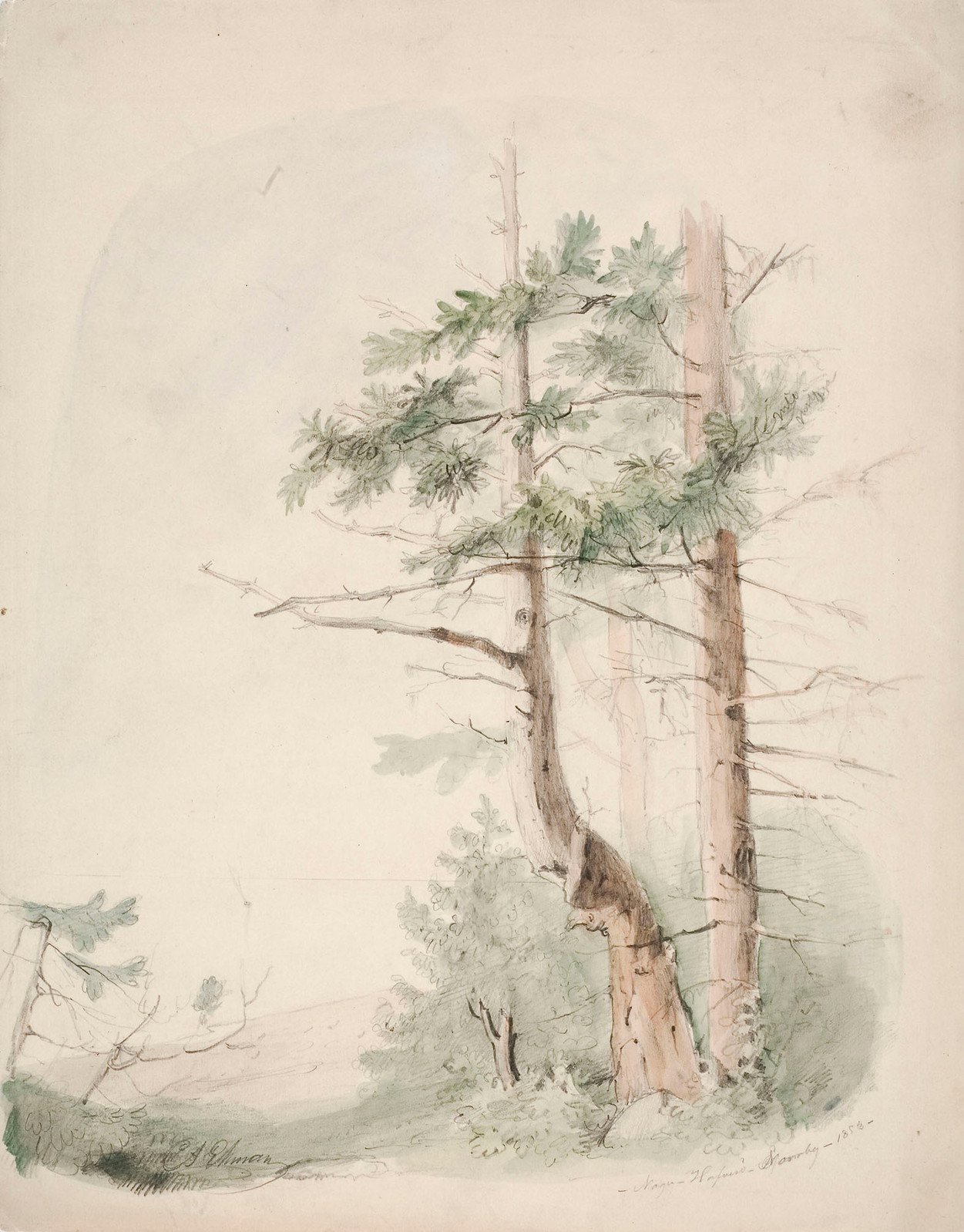Anders Ekman, Seaside Landscape "Nagu-Hafverö-Norrby"