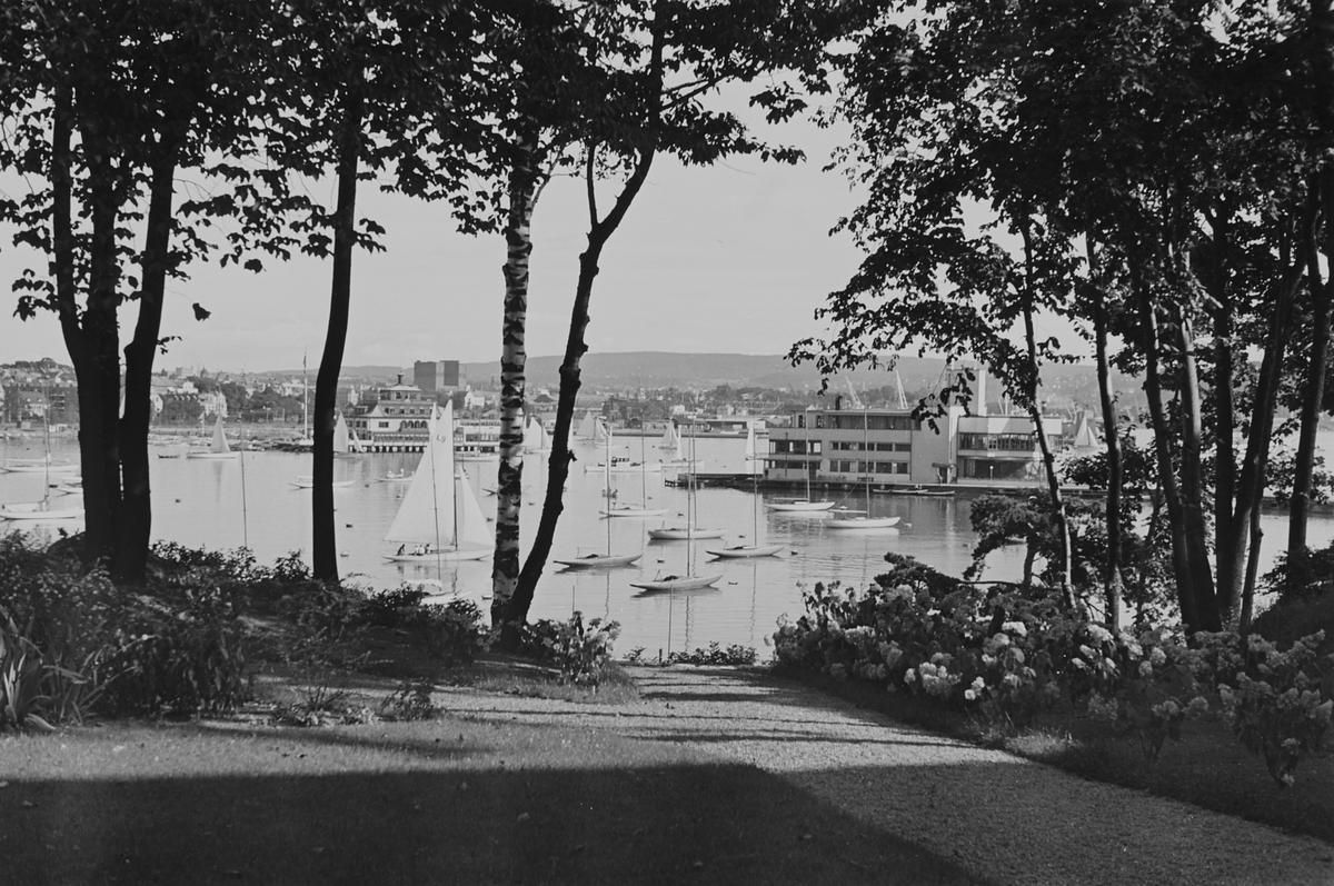 Anders Beer Wilse, Prot: Dronningen. K.N.S. Klubhus