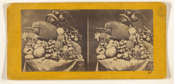 Edward and Henry T. Anthony & Co., Fruits of Java.