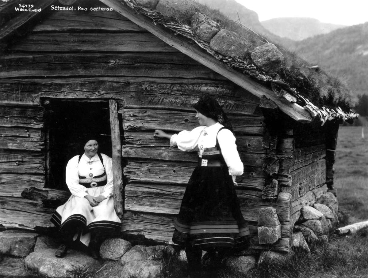 Anders Beer Wilse, Kvinnedrakter