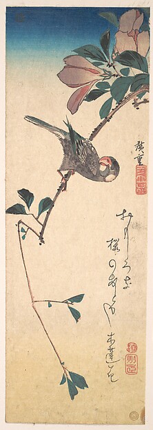 Utagawa Hiroshige, Purple Magnolia and Hornbill