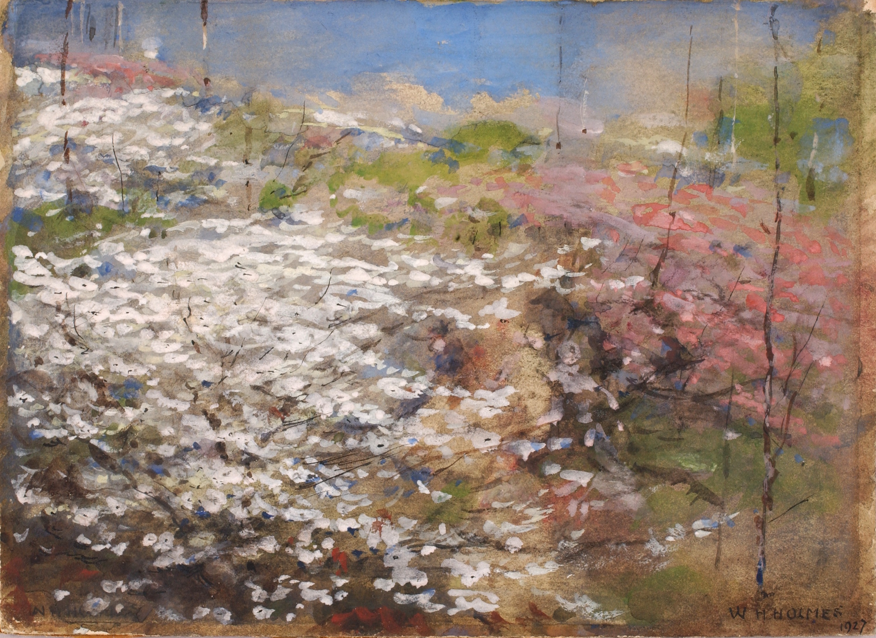 William Henry Holmes, Field of Blossoms