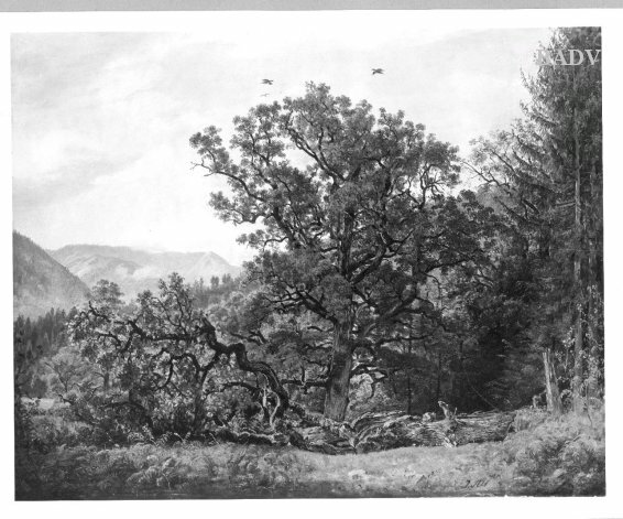 Jakob Alt, Landscape with oaktrees