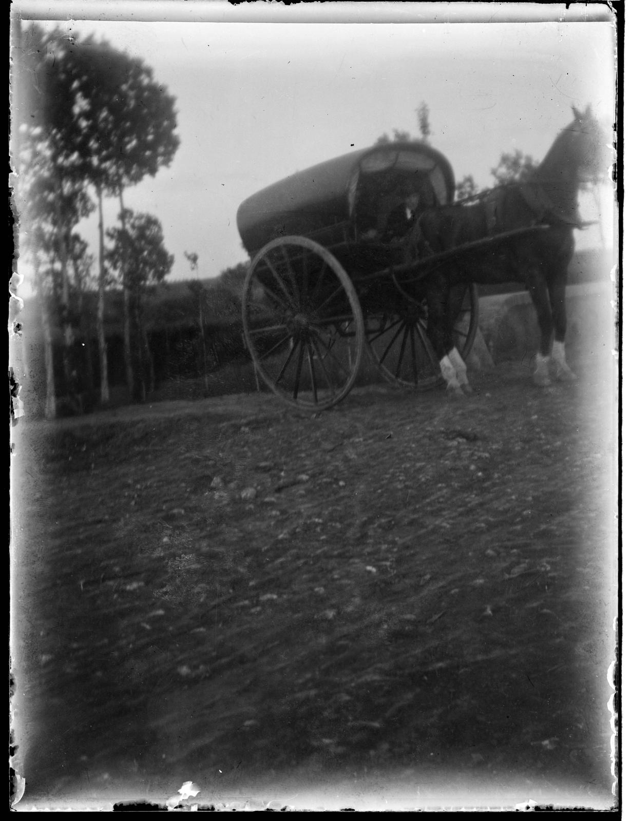 Desconegut, [Horse with carriage]