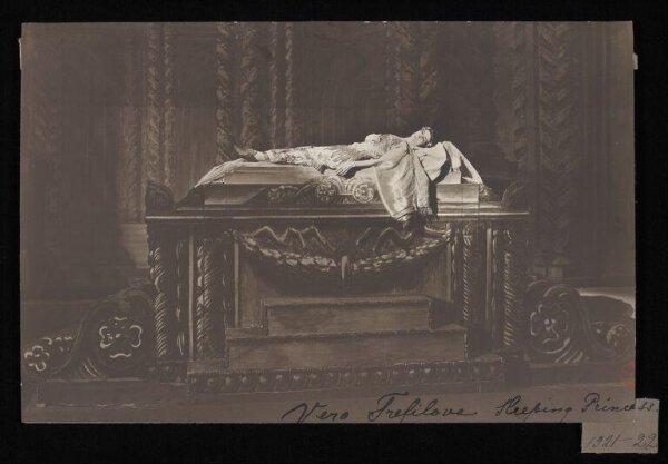unknown, The Sleeping Princess