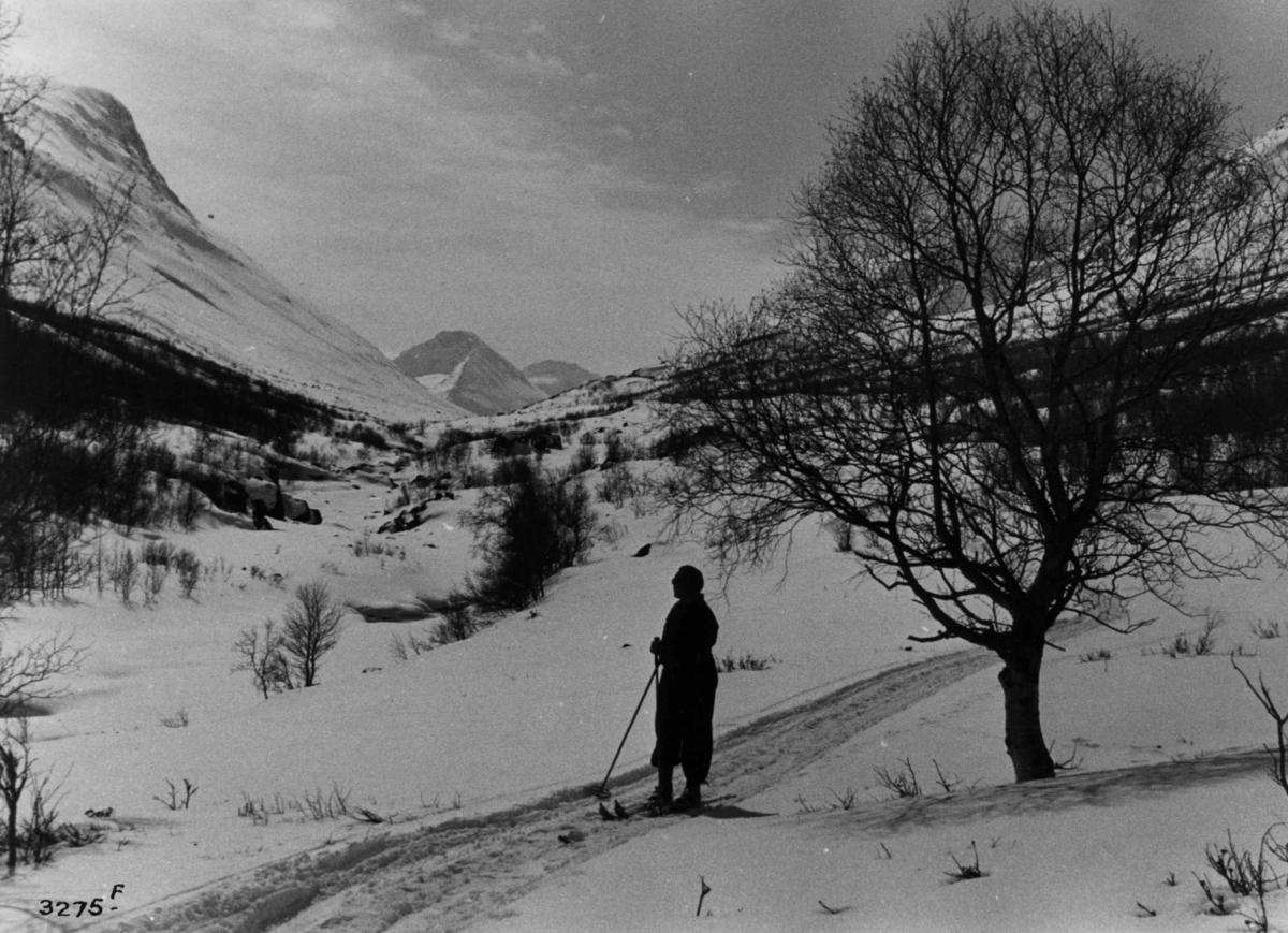 Anders Beer Wilse, Skiløper ved Visdalen i Jotunheimen.