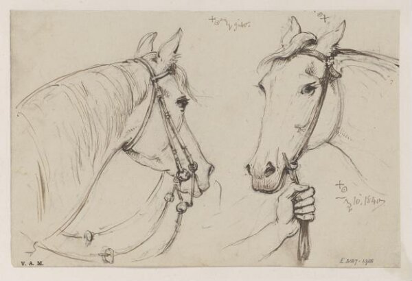 George Chinnery, Two drawings of a horse's head
