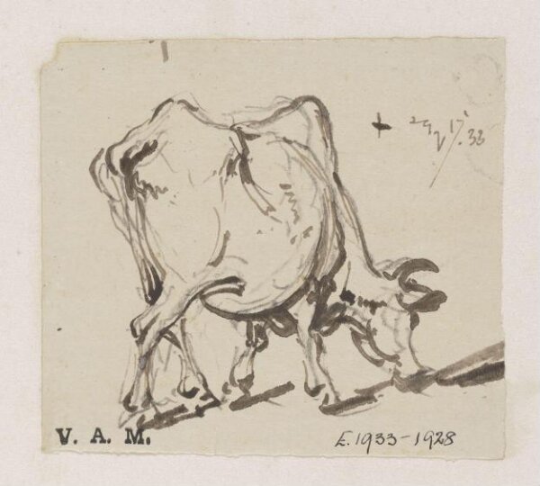 George Chinnery, A grazing cow