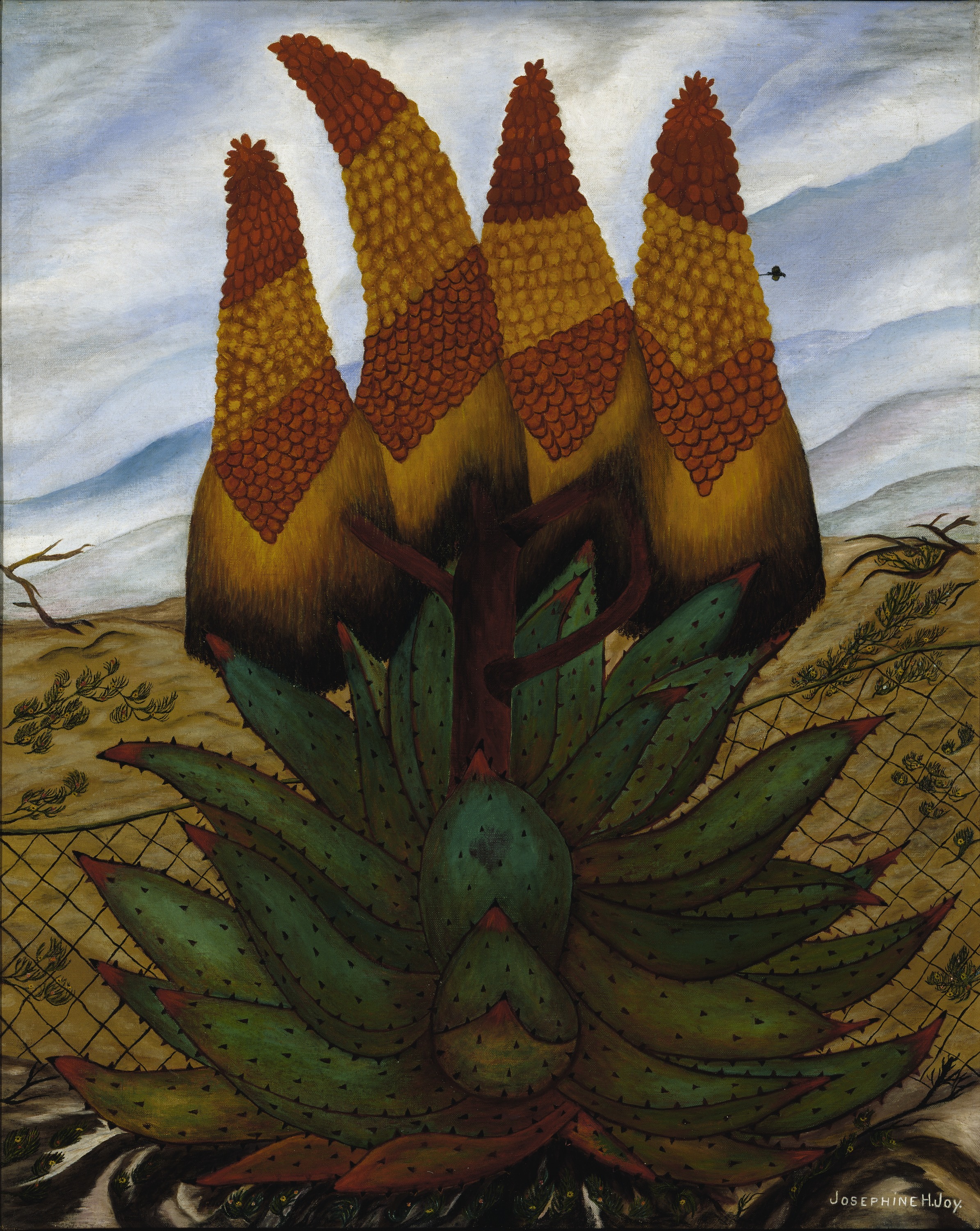 Josephine Joy, Aloes