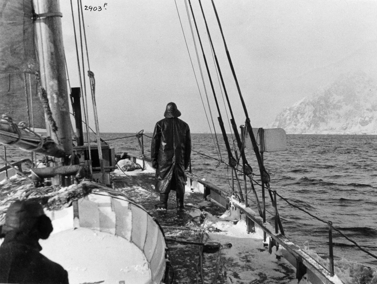 Anders Beer Wilse, Redningsskoyter