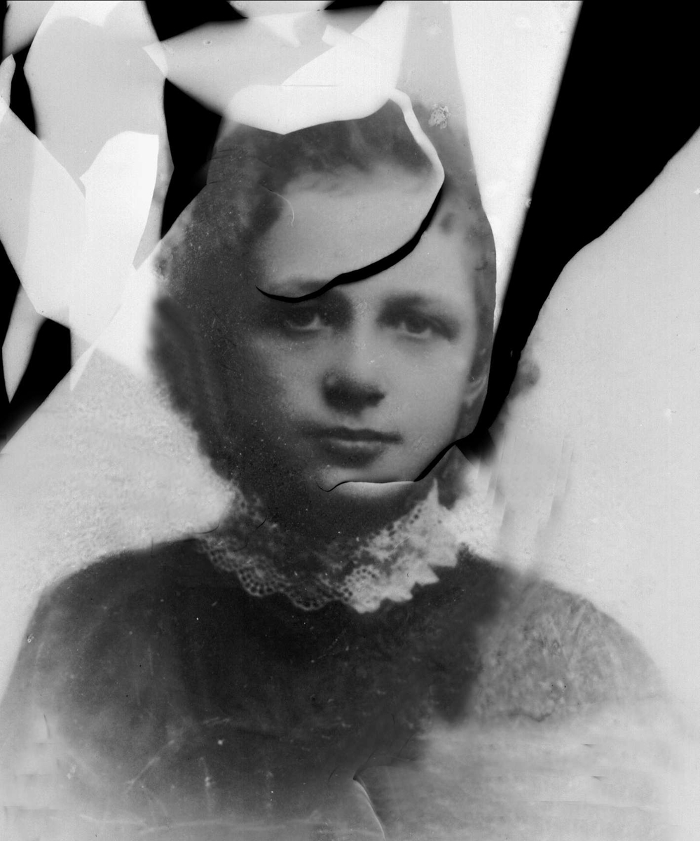 Gustav Borgen, NFB.23373
