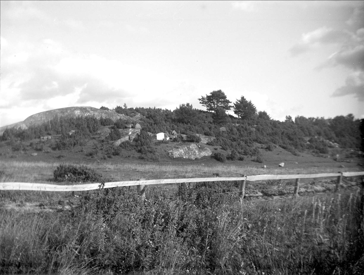 August Fredrik Schagerström, Enbacke in the Birdsong, Lövstaholm, Odensala parish, Uppland in September 1931