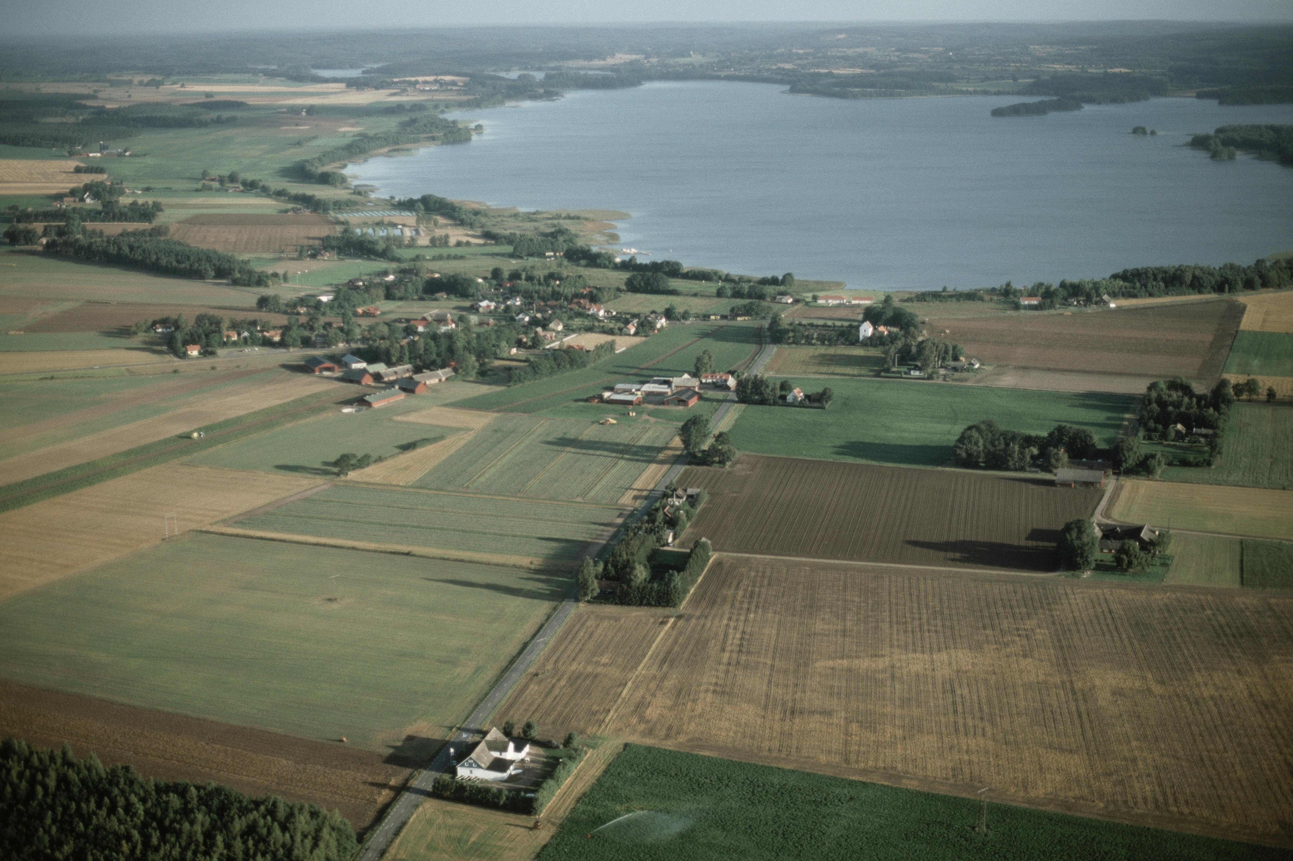 Jan Norrman, Kiaby