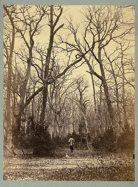 Constant Alexandre Famin, [Man in a Forest Landscape]