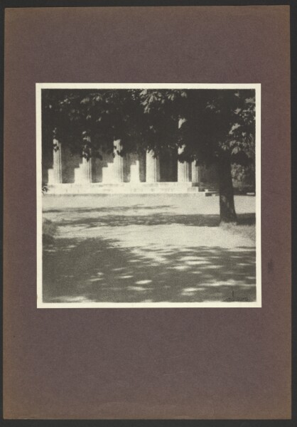 Günther Krampf, [Building covered by tree]