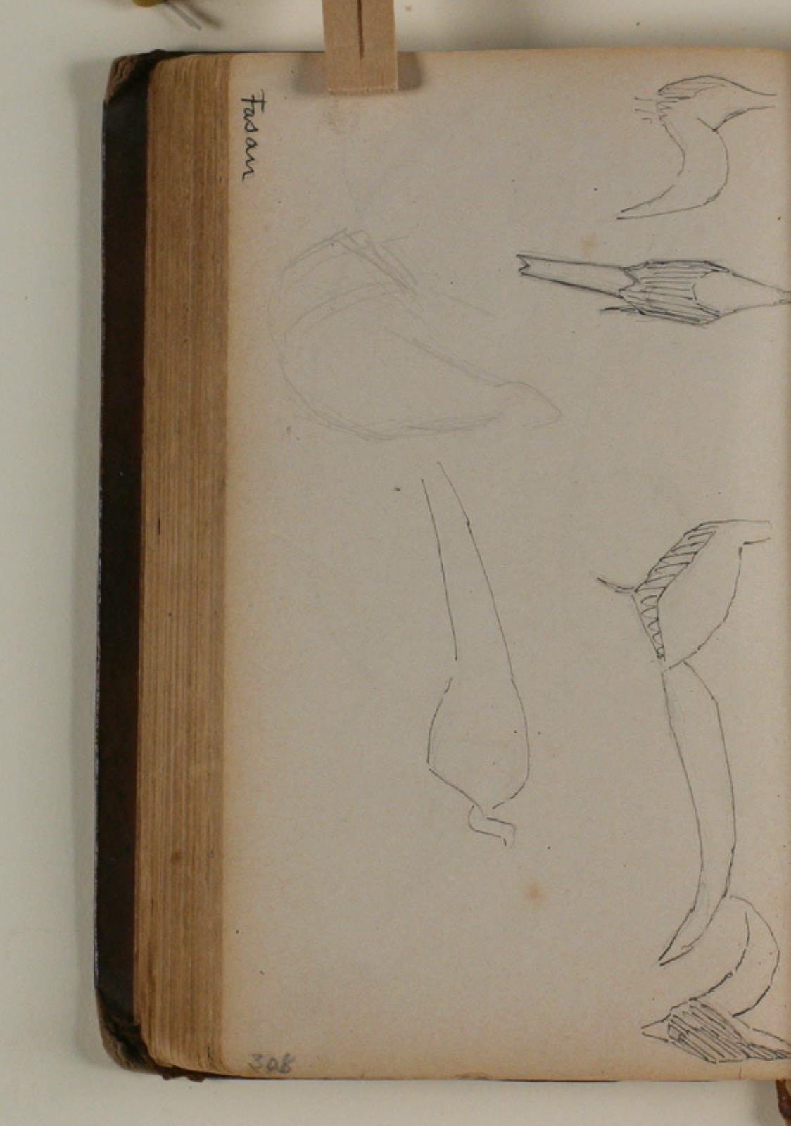 Niels Larsen Stevns, Studier af fasaner