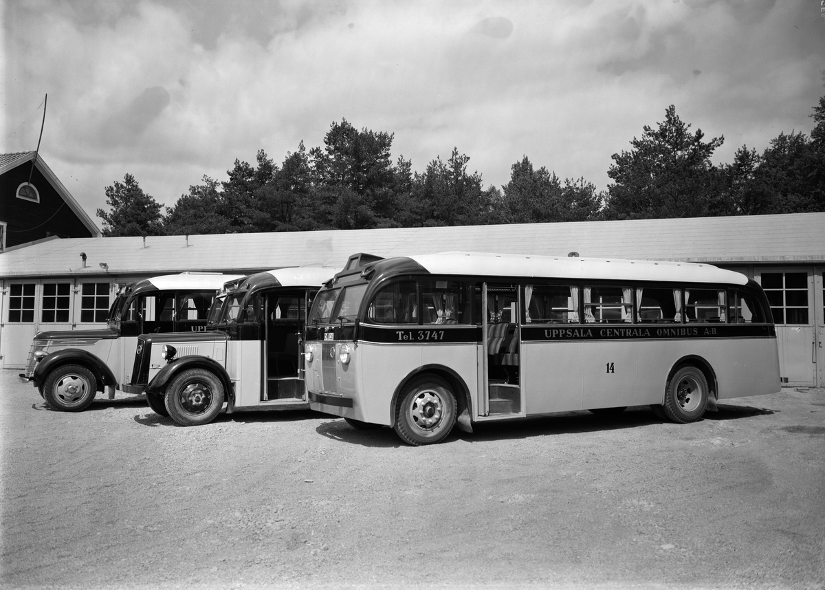 Paul Sandberg, Bussar tillhörande Uppsala Centrala Omnibuss AB vid bussgarage vid Gråbergsvägen - Skogsbergsvägen, Eriksberg, Uppsala 1939