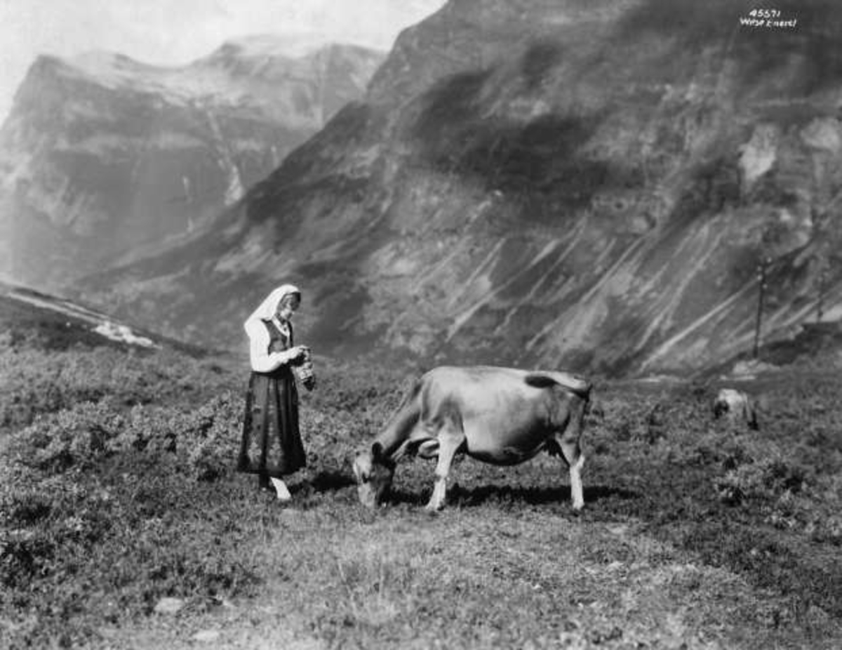 Anders Beer Wilse, -7909
