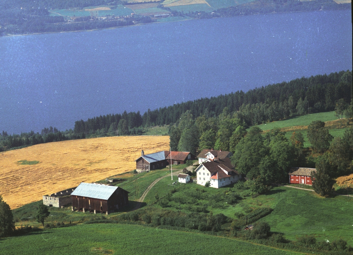 Widerøes Flyveselskap A/S, Flyfoto, Vinju gard, Ringsaker.