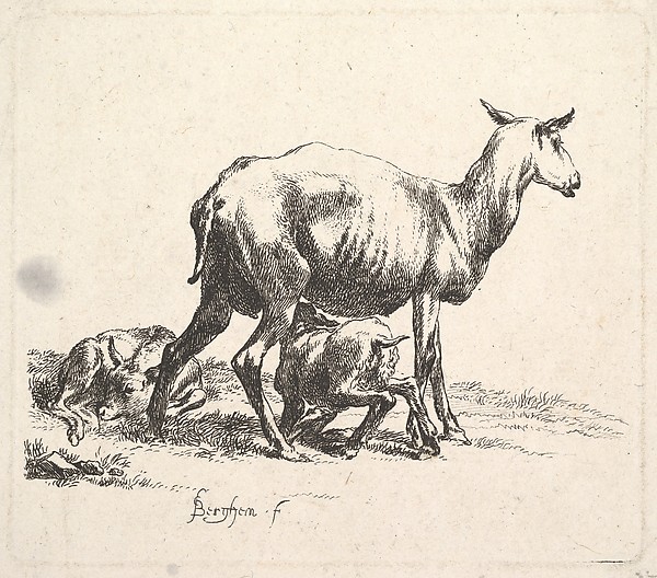 Nicolaes Berchem, Sheep with Lamb Nursing