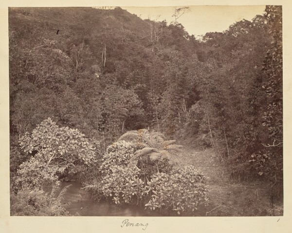Unknown, Penang