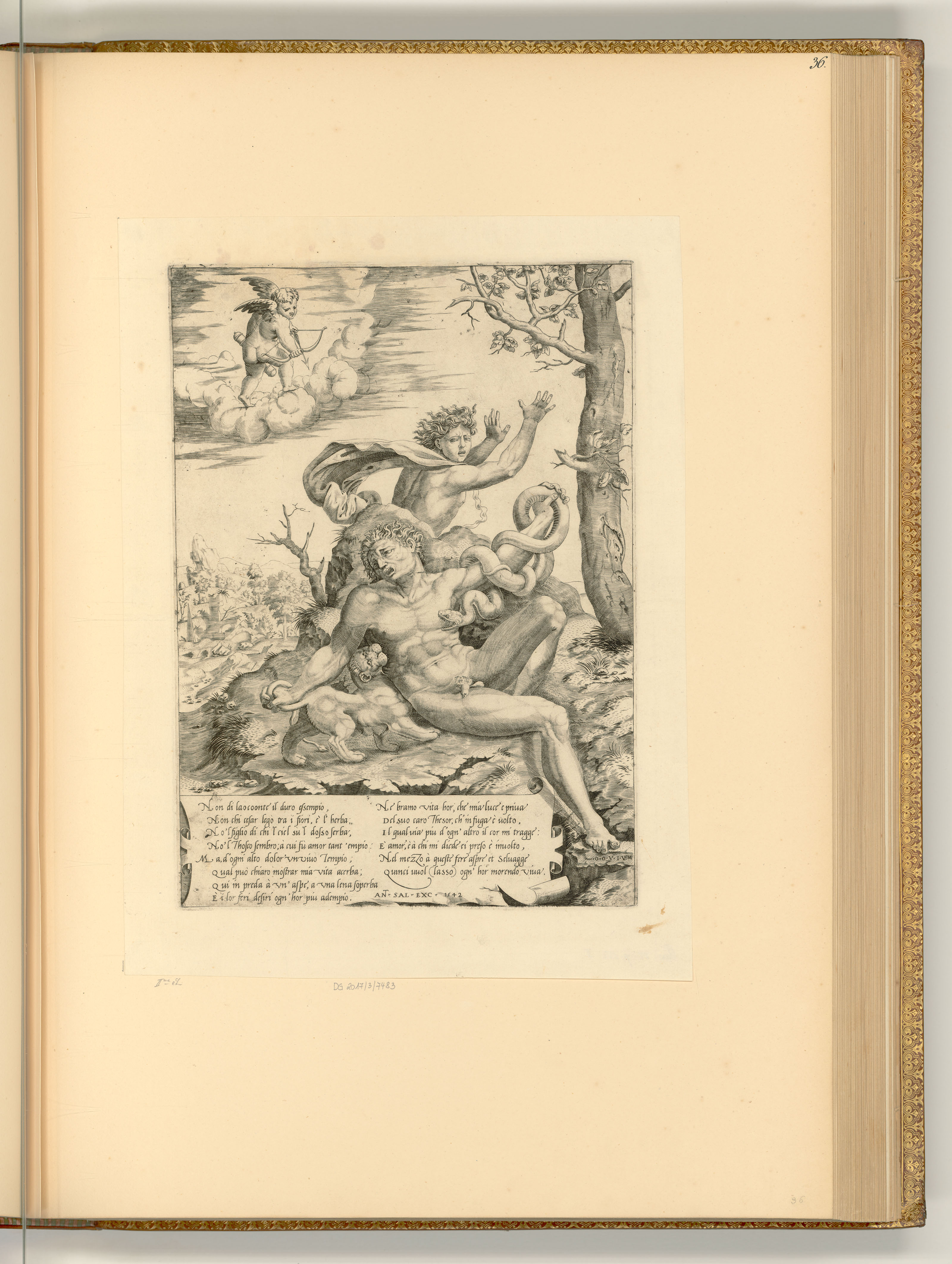 Monogrammist(unbestimmt), Allegorie über die Leiden der Liebe