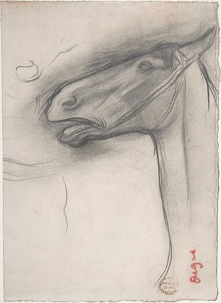 Edgar Degas, Head of a Horse