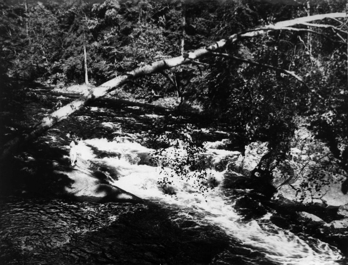 Anders Beer Wilse, Lysakerelva