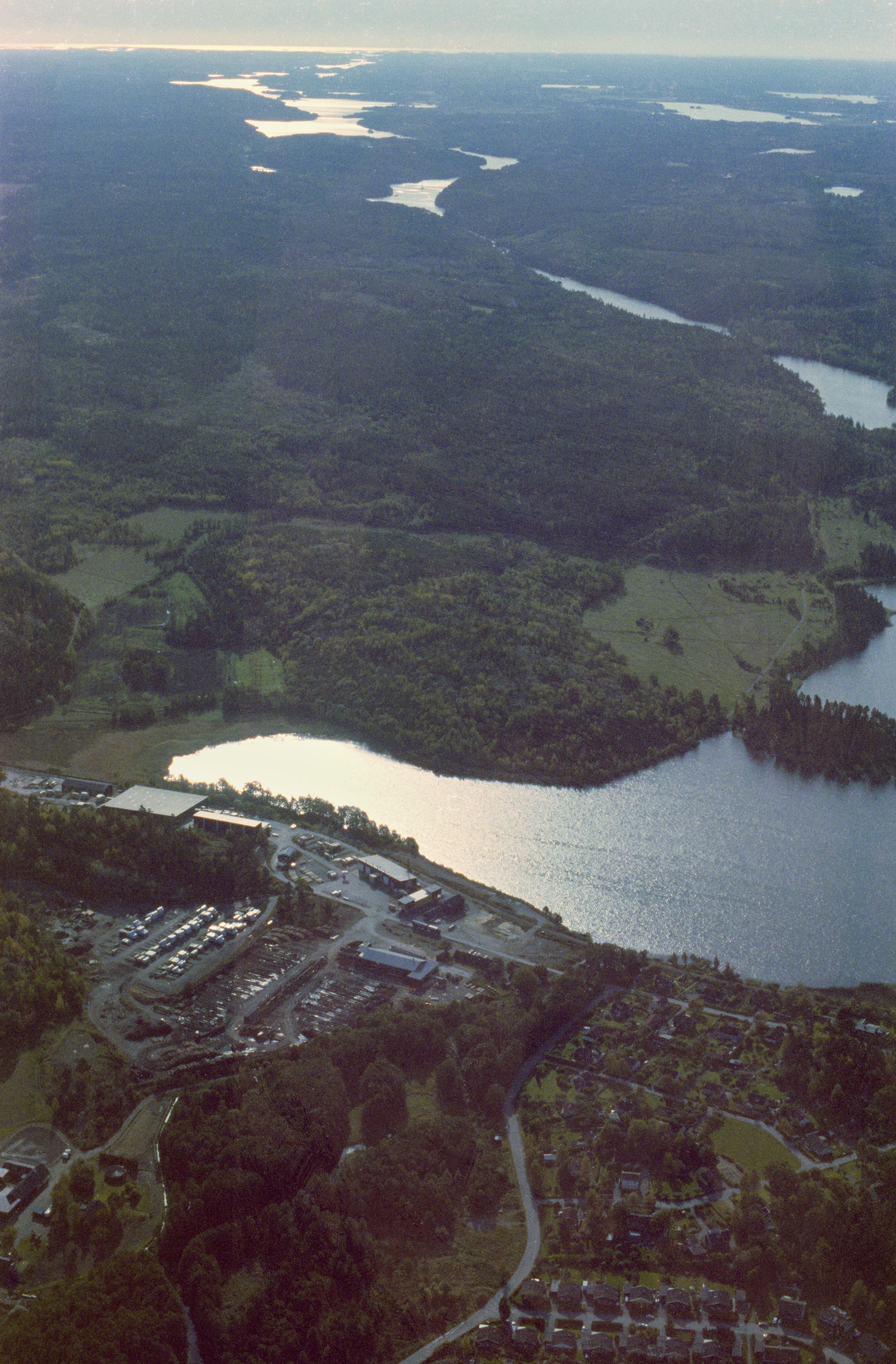 Jan Norrman, Forsa