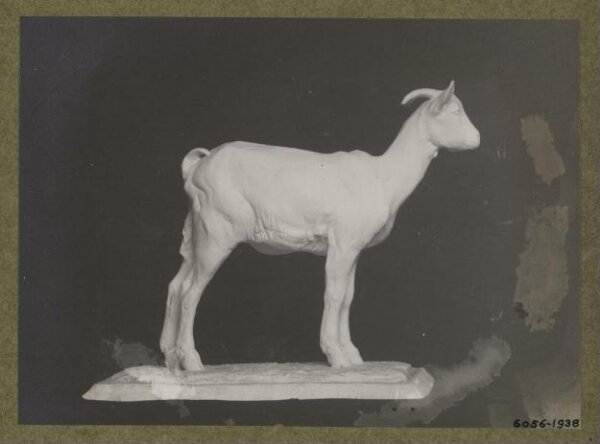 unknown, Photograph