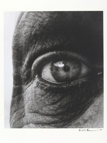Bill Brandt, Dubuffet's Right Eye