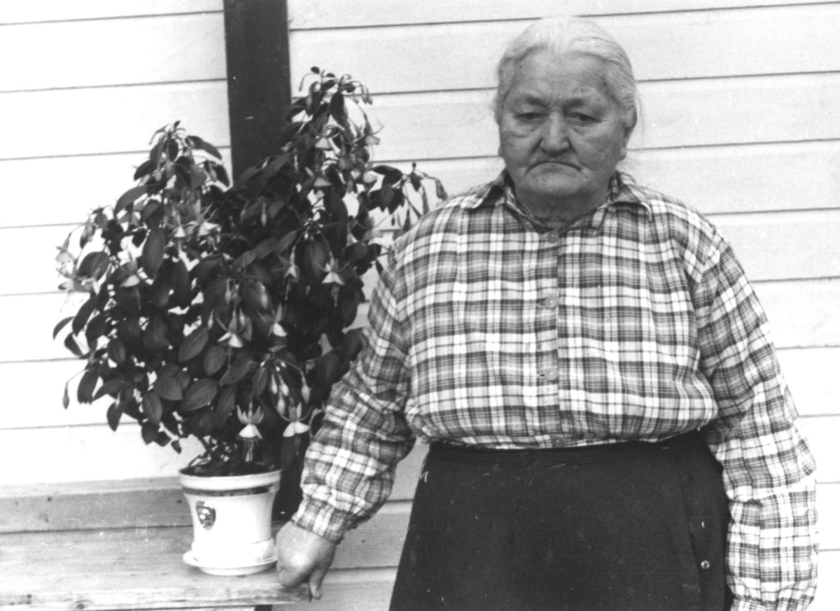 Anna Grostøl, Portrett av en kvinne ved siden av en stueplante. Rostadal, Målselv, Troms 1940-årene.