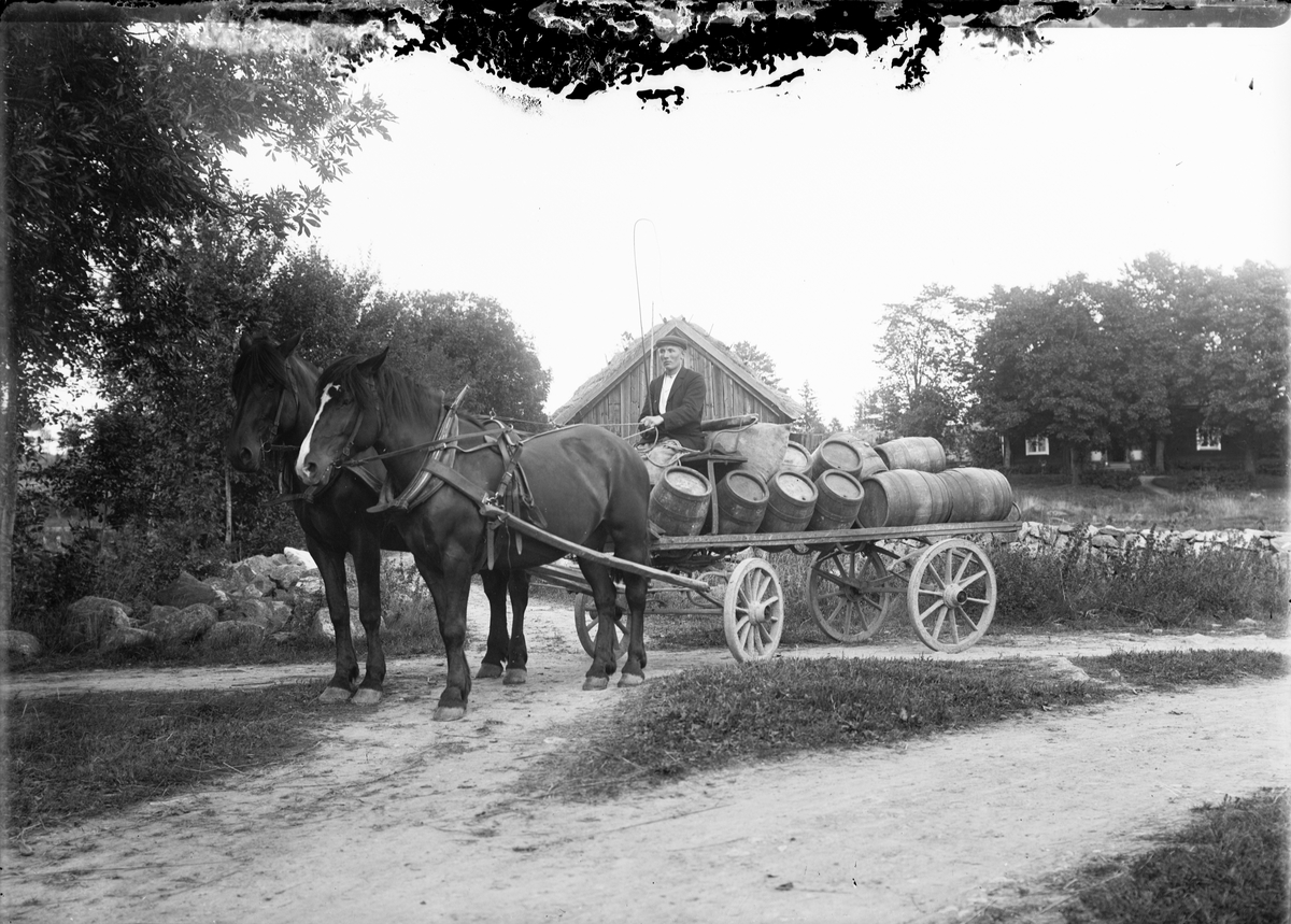 Skötsner-Edhlund, Bryggarkusk med ekipage, Annö by, Valö socken, Uppland omkring 1910