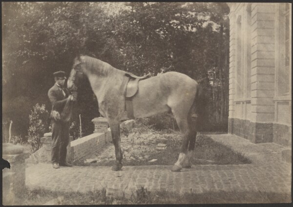 Unknown, [Horse and Man]