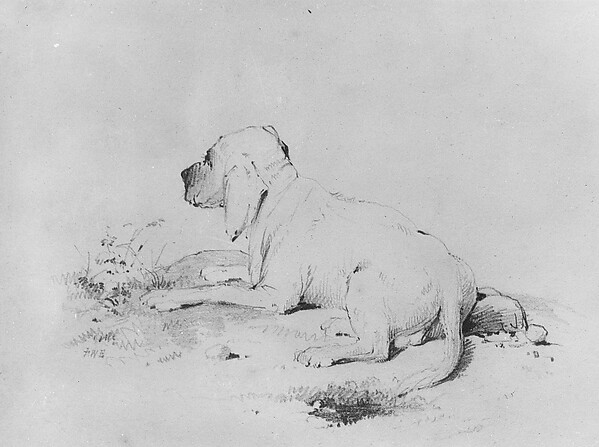 Francis William Edmonds, Dog (from McGuire Scrapbook)