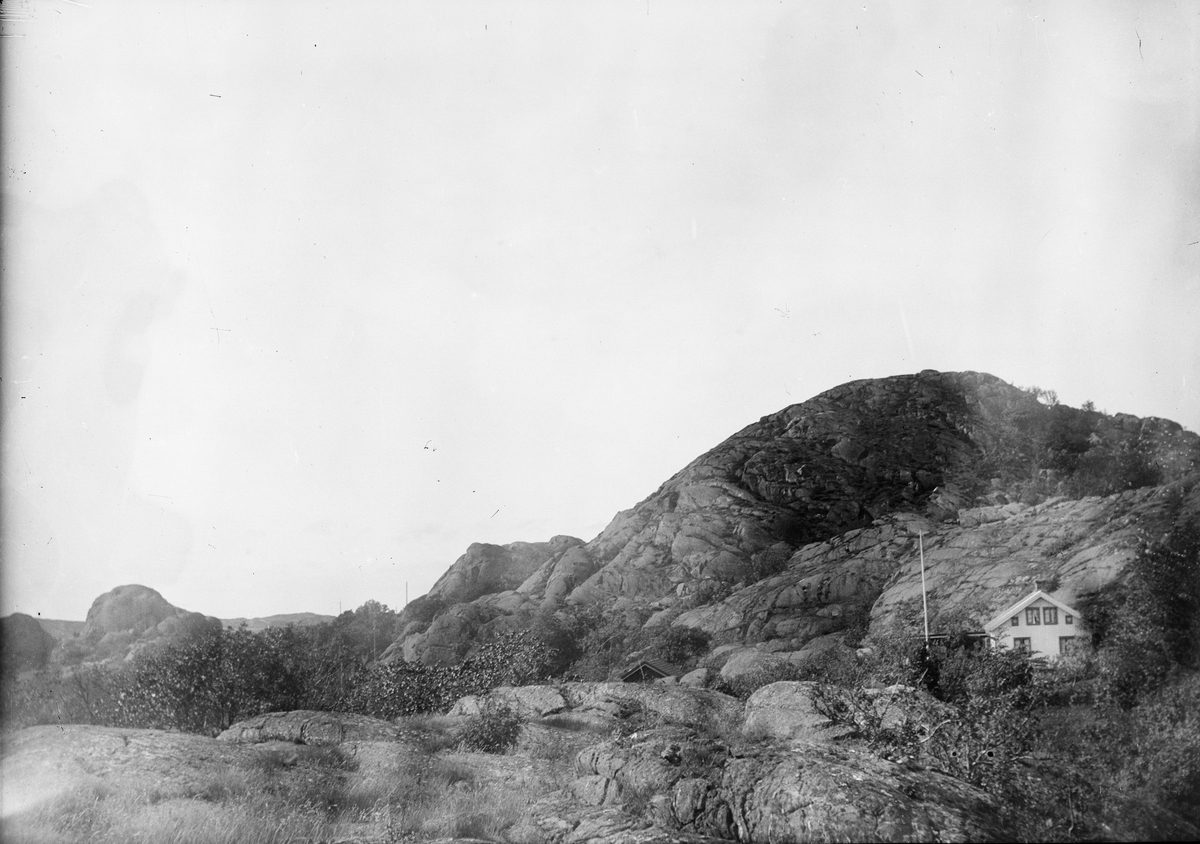 Okänd,, Mountain horse, probably in Sweden