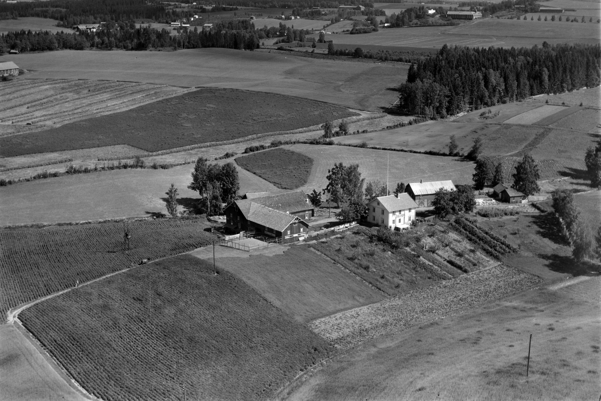 Widerøes Flyveselskap A/S, Flyfoto av Dalby lille, Gaupen, Ringsaker.