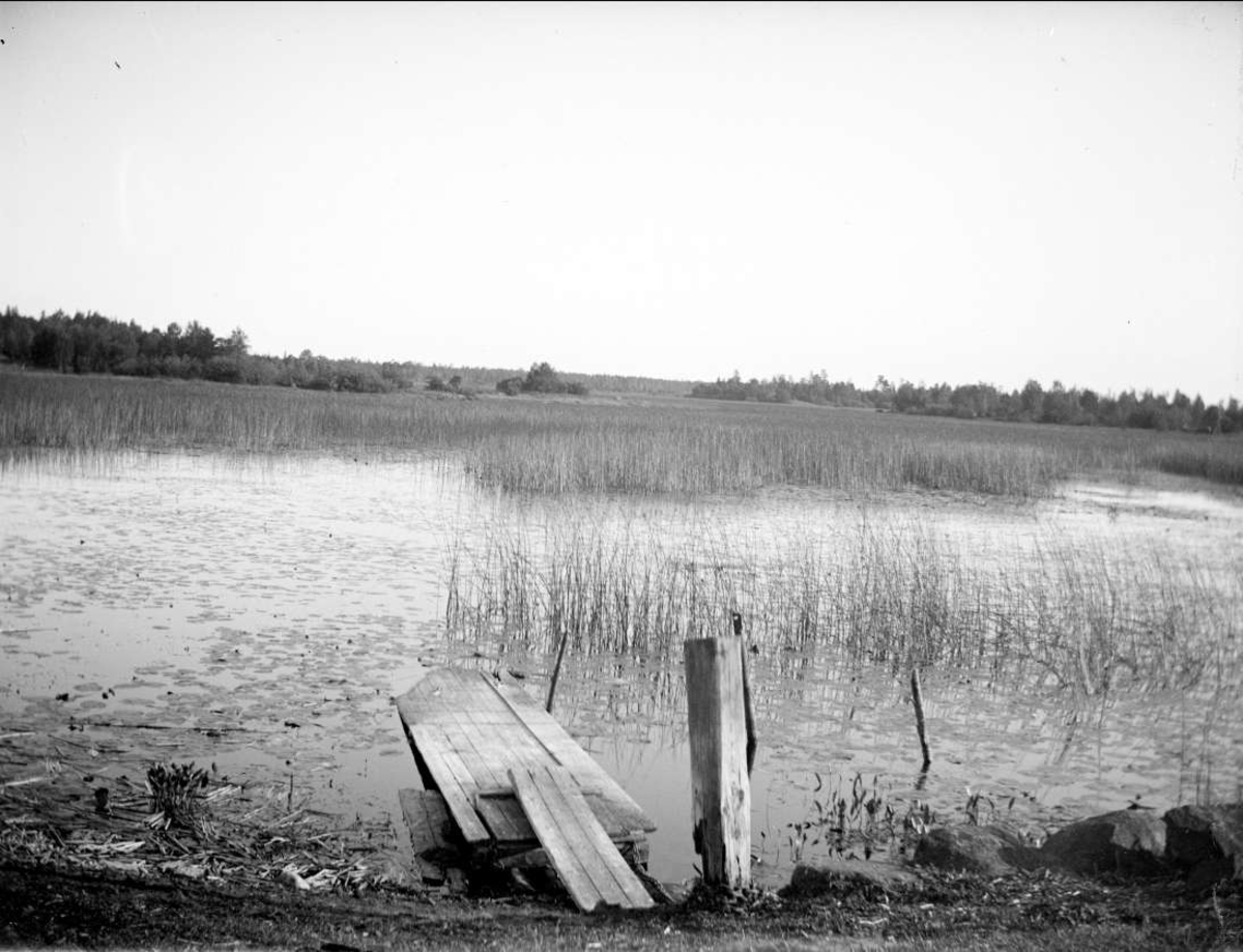 August Fredrik Schagerström, Sannolikt Bruksdammen, Forsmarks socken, Uppland juli 1921