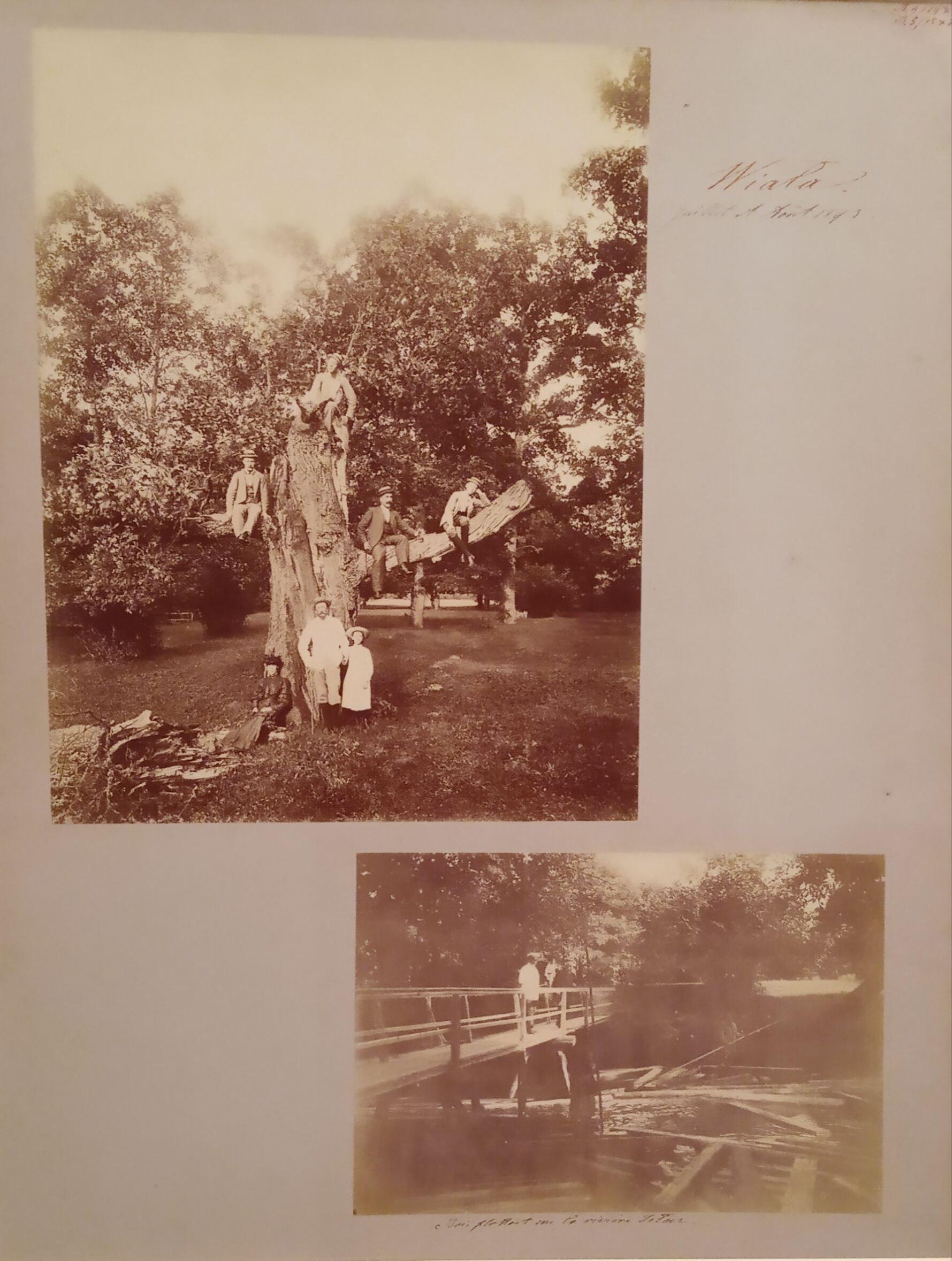 Benediktas Henrikas Tiškevičius, Kartono lakštas su dviem Benedikto Henriko Tiškevičiaus fotografijomis (Viala)