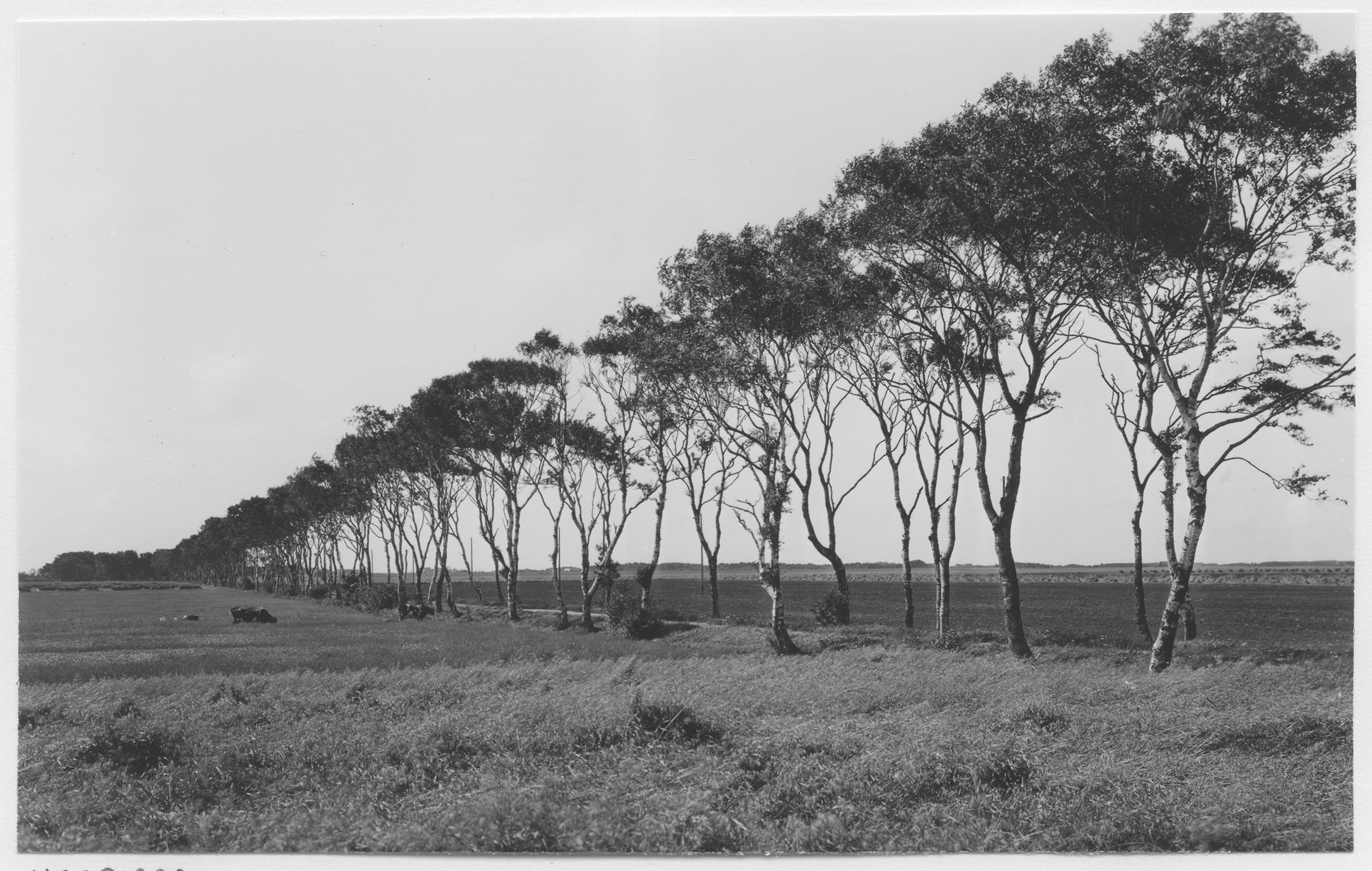 Mårten Sjöbeck, Ramsjöholm